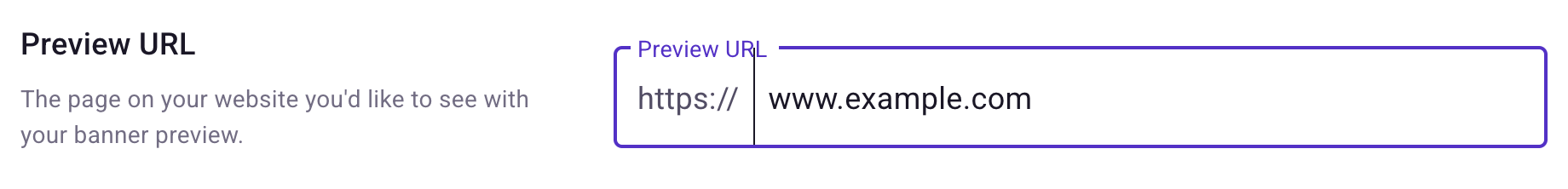Preview URL setting with an https:// prefix and a www.example.com value